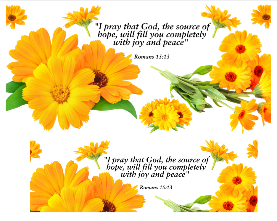 Tumbler Keychain Wrap- Romans 15:13