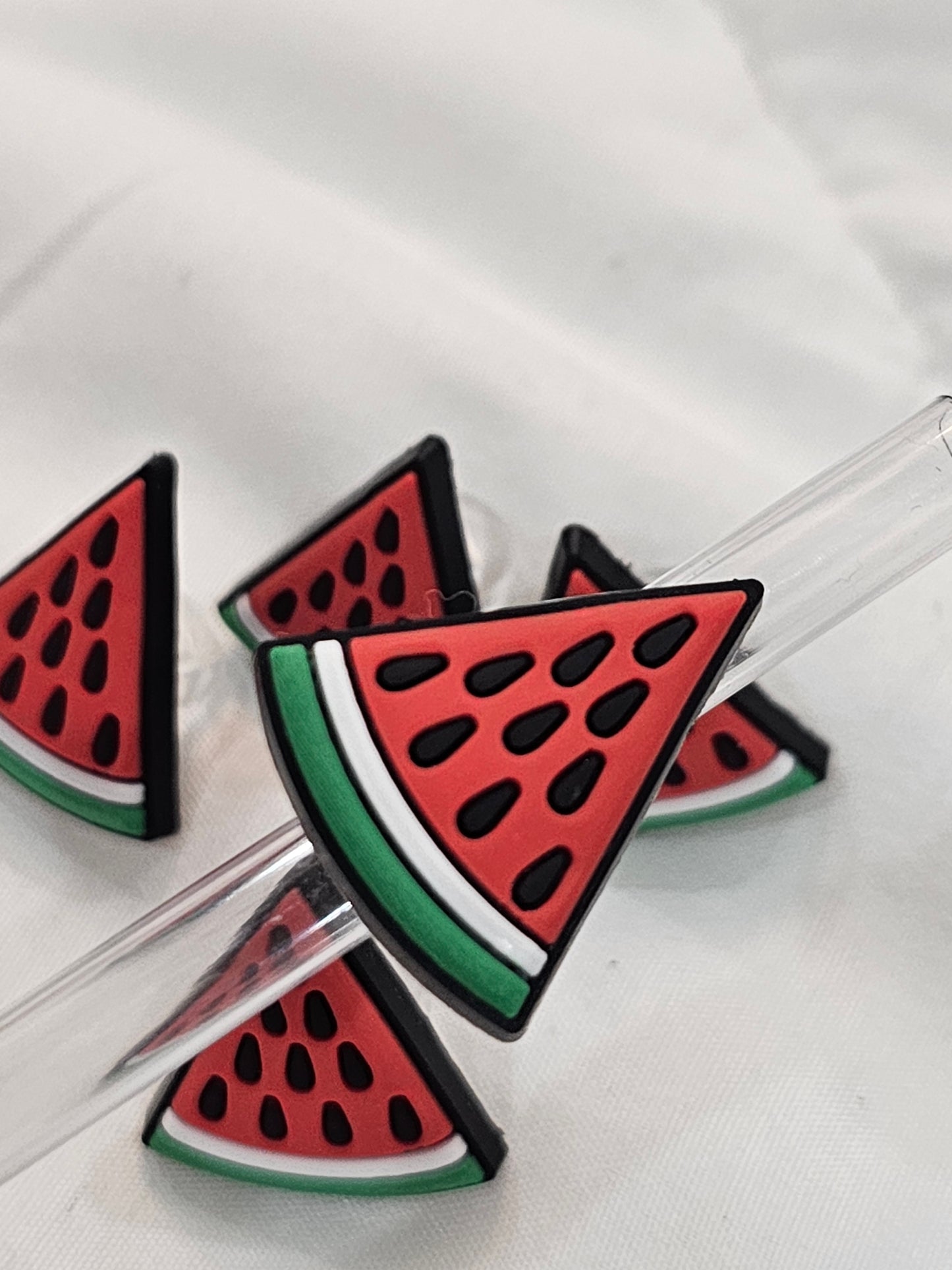 Watermelon Straw/pencil or pen charms