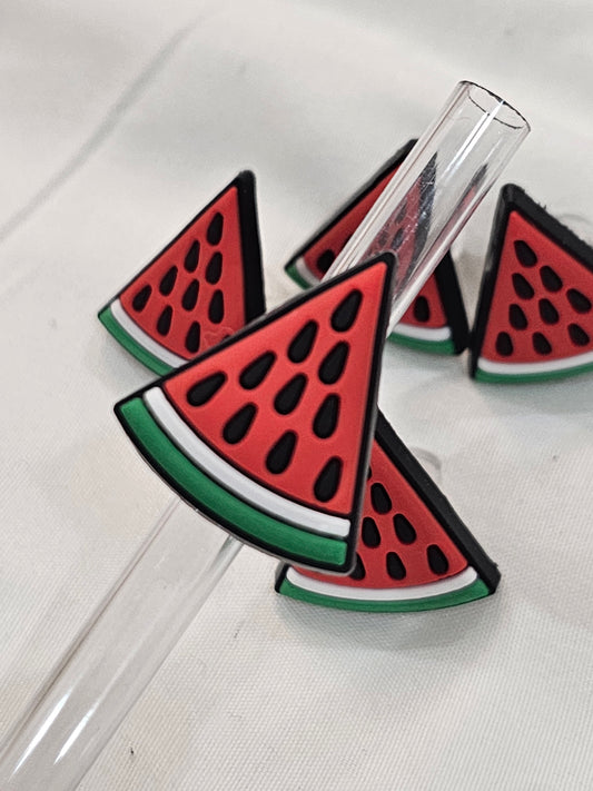 Watermelon Straw/pencil or pen charms