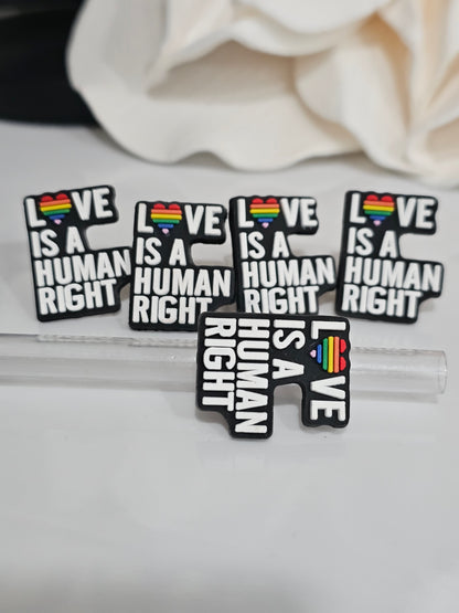 Love is a human right Straw/pencil or pen charms