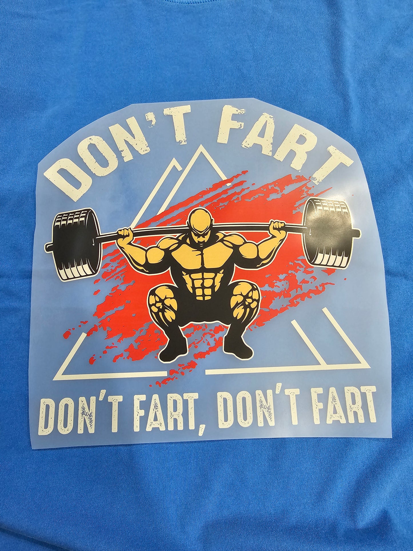 Don't Fart DTF Transfer 10 x 10 inches